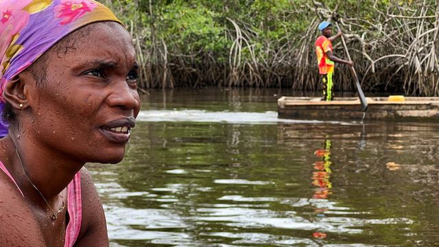 Vignette du programme télé Plongée au coeur du delta du Congo