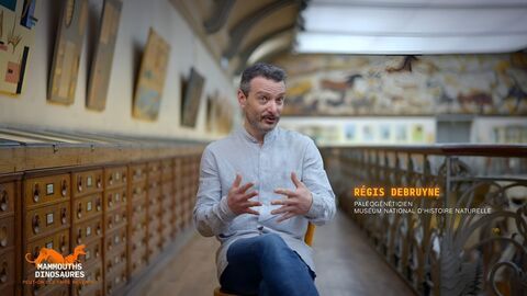 Vignette du programme télé Mammouths, dinosaures : peut-on vraiment les faire revenir ?