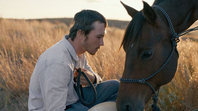 Vignette du programme télé The Rider