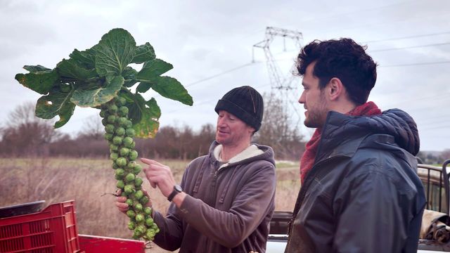 Vignette du programme télé Pas de repos pour Marco