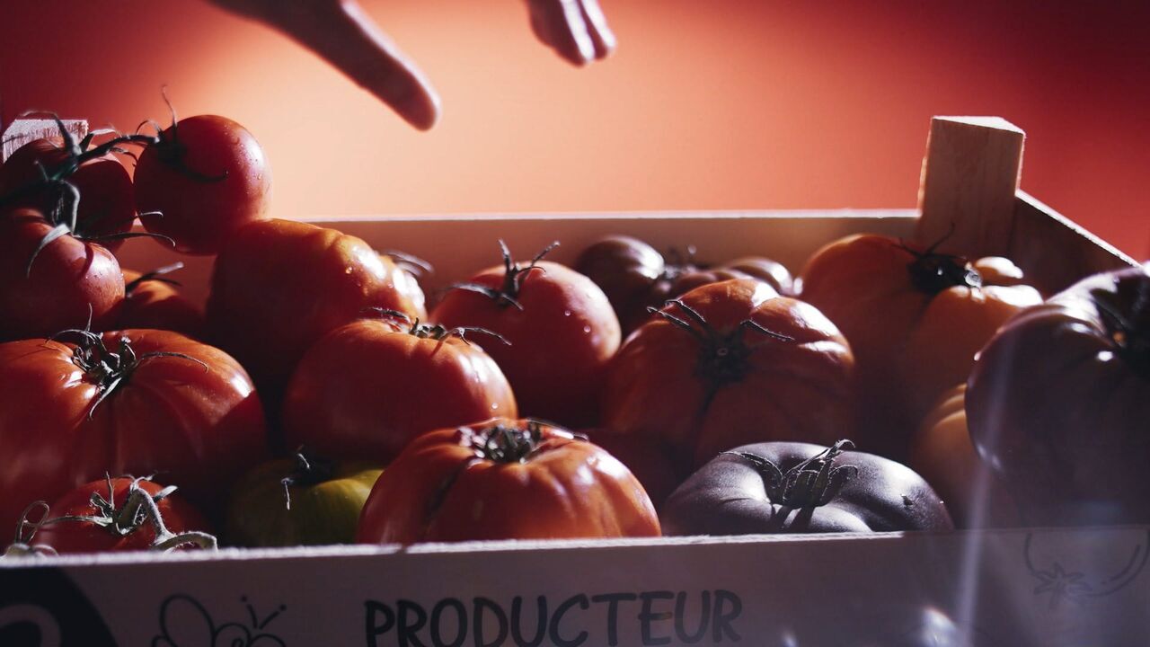 Vignette du programme télé On va déguster