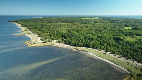 Vignette du programme télé Sur les sentiers des pays baltes