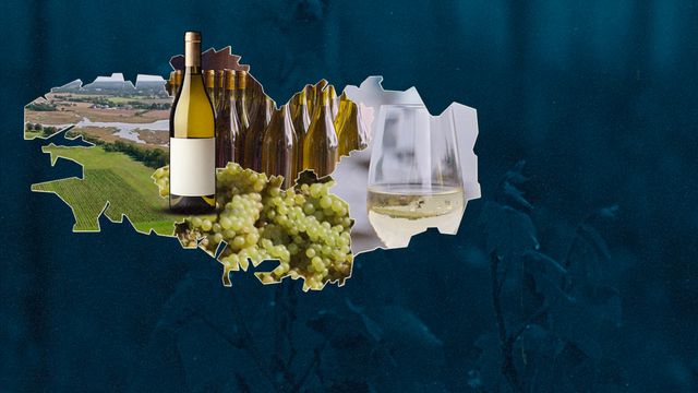 Vignette du programme télé Vins bretons, la nouvelle conquête de l'ouest