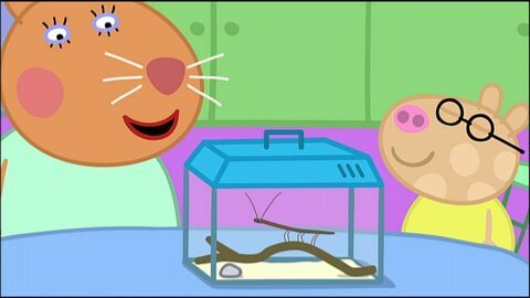 Vignette du programme télé Peppa Pig