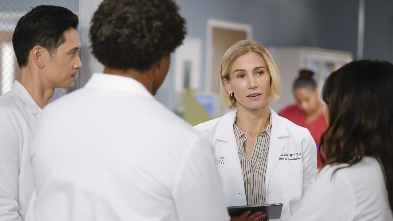 Vignette du programme télé Grey's Anatomy