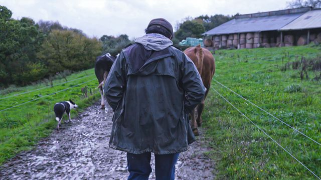 Vignette du programme télé Violence dans les champs