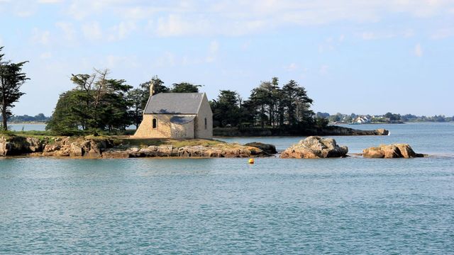 Vignette du programme télé Vive le camping