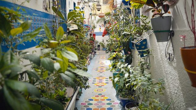 Vignette du programme télé Bienvenue à Tanger ! La ville des rêves