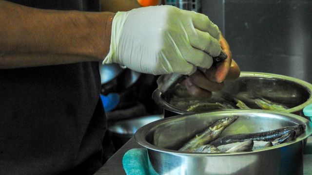 Vignette du programme télé Le zoo du Bronx - Saison 2