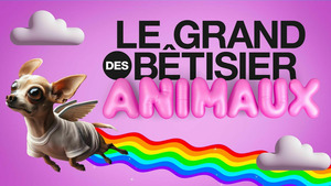 Vignette du programme télé Le grand bêtisier des animaux S2
