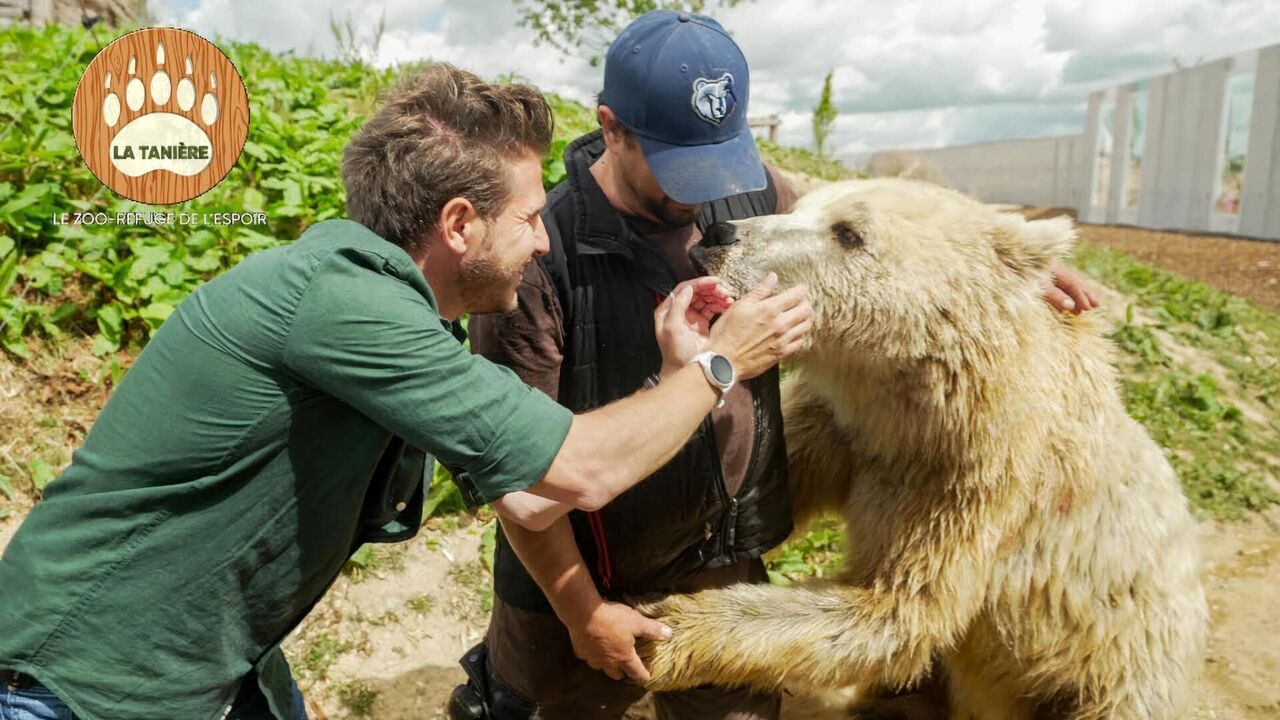 Vignette du programme télé La Tanière, le zoo-refuge de l'espoir
