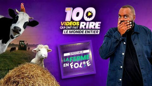 Vignette du programme télé Les 100 vidéos qui ont fait rire le monde entier