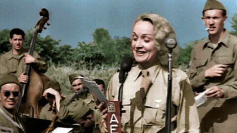 Vignette du programme télé La chute du Reich