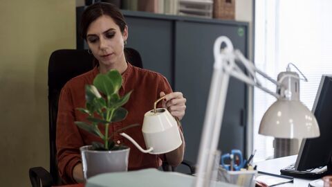 Vignette du programme télé Vanina : Meurtres en Sicile
