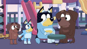Vignette du programme télé Bluey (L'école de natation) S2 (34/52)