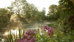 Vignette du programme télé Les trésors des jardins français (Les jardins du XXe siècle) (2/2)
