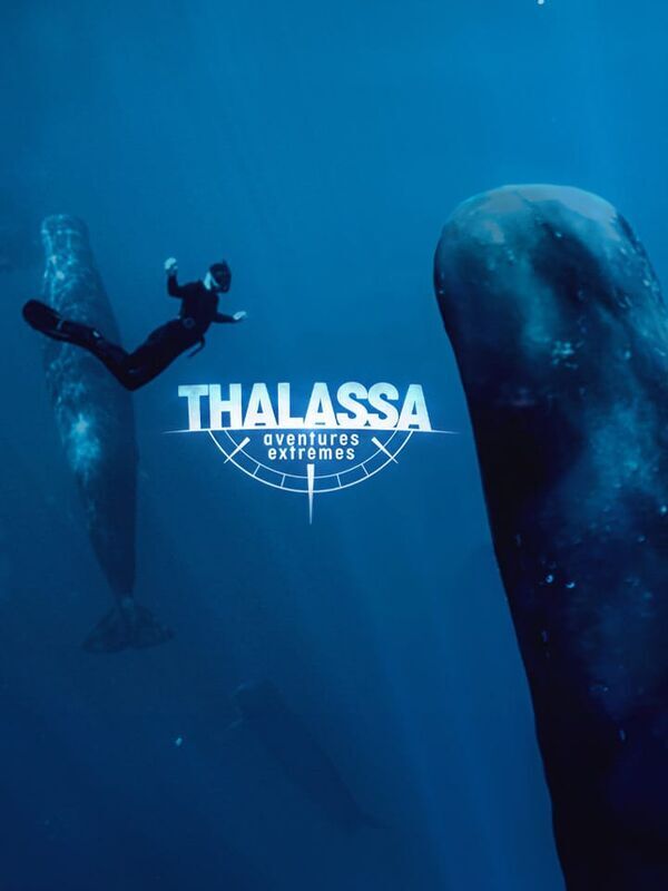 Vignette du programme télé Thalassa, aventures extrêmes
