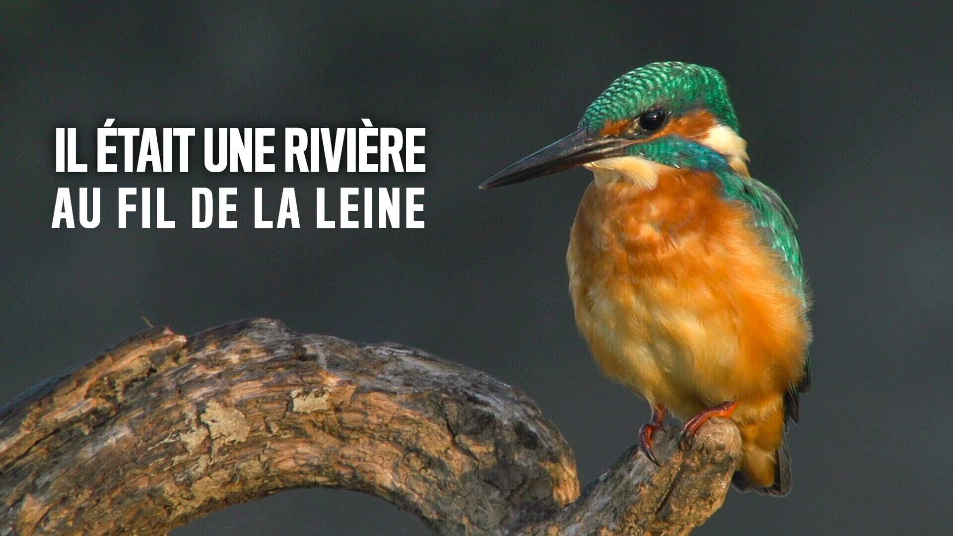 Vignette du programme télé Il était une rivière - Au fil de la Leine