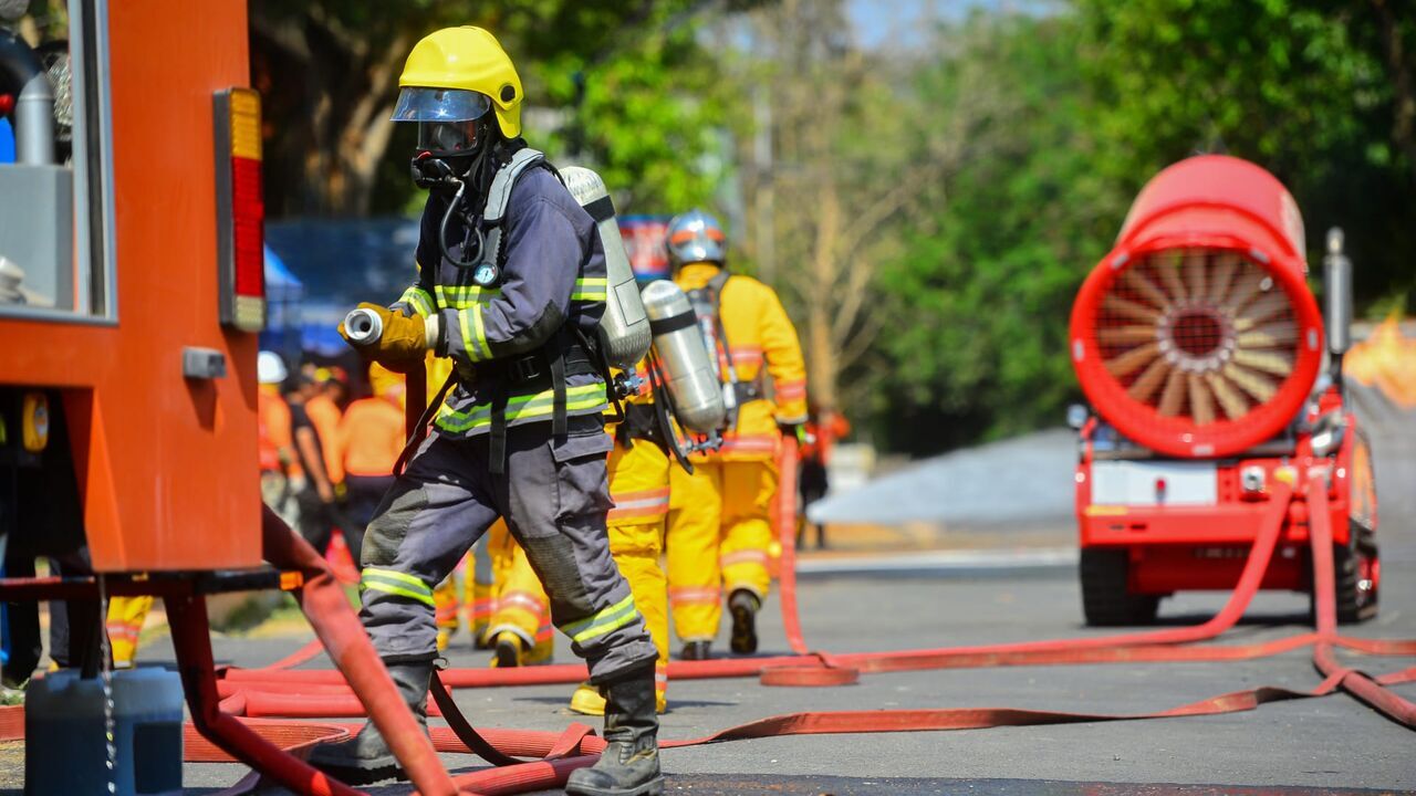 Vignette du programme télé 100 jours avec les pompiers