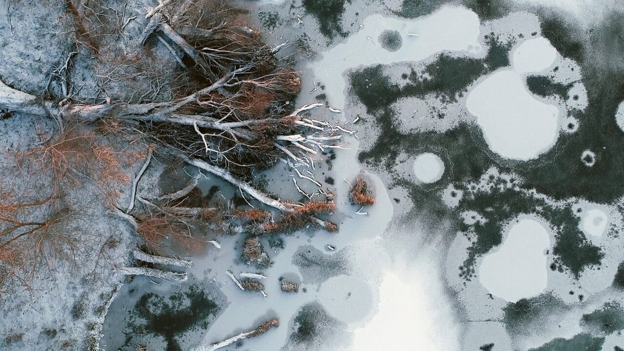 Vignette du programme télé La Serbie, sous le signe de l'eau