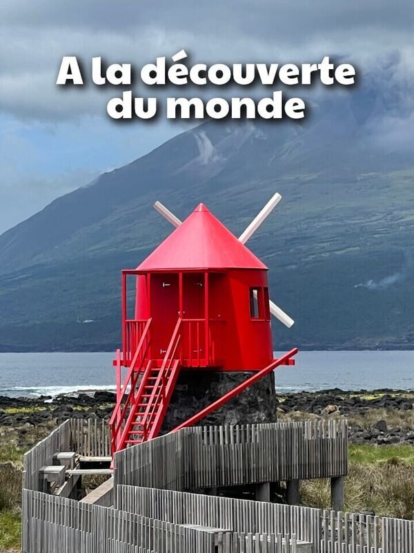 Vignette du programme télé A la découverte du monde