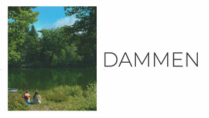 Vignette du programme télé Dammen