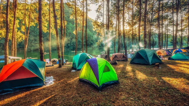 Vignette du programme télé Vive le camping