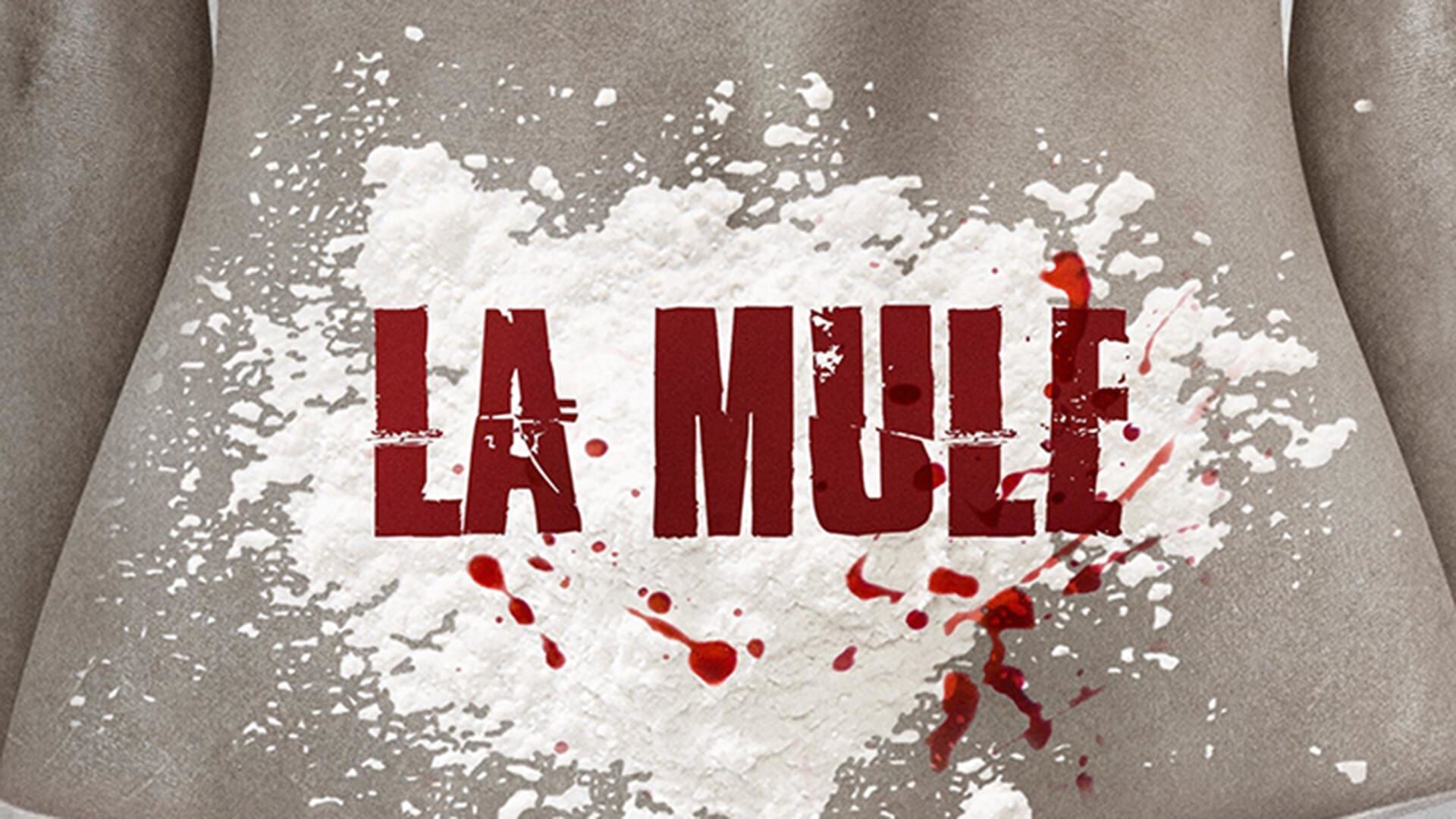 Vignette du programme télé La mule