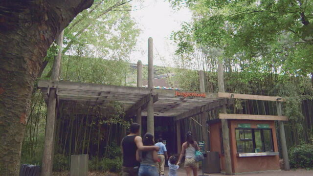 Vignette du programme télé Au coeur du zoo de New York