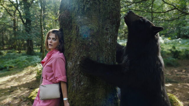 Vignette du programme télé Crazy Bear
