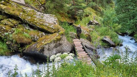 Vignette du programme télé Les parcs nationaux géorgiens
