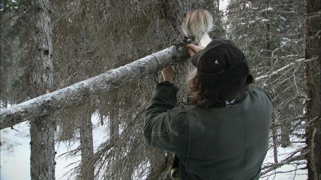 Vignette du programme télé Seuls face à l'Alaska - Saison 3