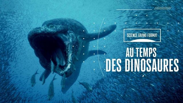Vignette du programme télé Au temps des dinosaures
