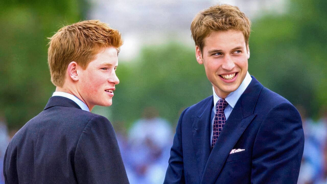 Vignette du programme télé Harry vs William : Querelle royale