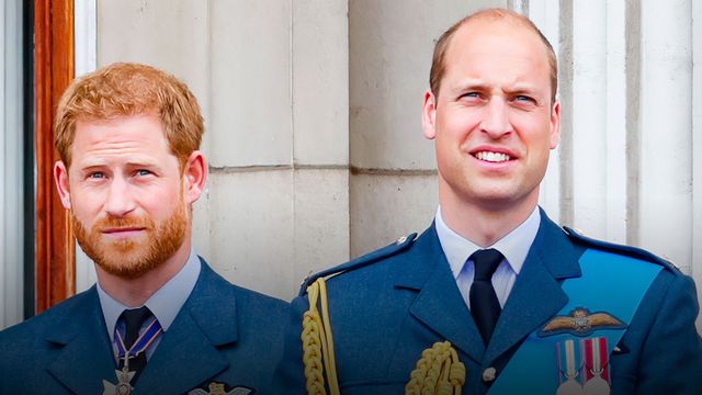 Vignette du programme télé Harry vs William : Querelle royale