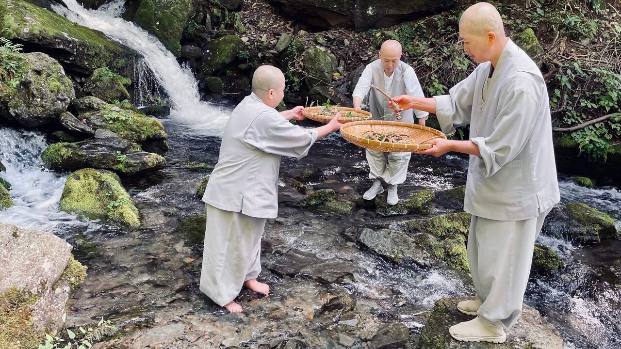 Vignette du programme télé Temple Food, l'âme de la cuisine coréenne