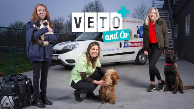 Vignette du programme télé Véto & Co