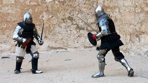 Vignette du programme télé Le béhourd, l'art du combat médiéval