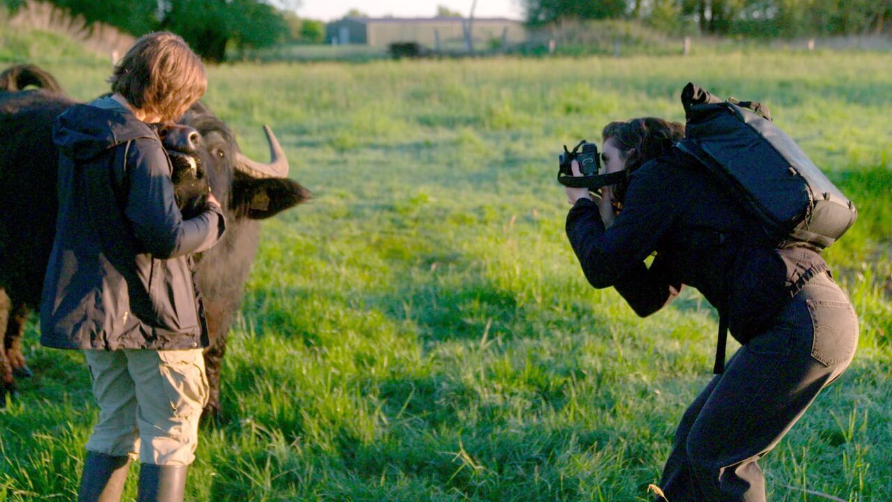 Vignette du programme télé Bestialement photogénique