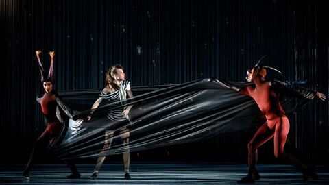 Vignette du programme télé Ravel : la grande soirée de ballets