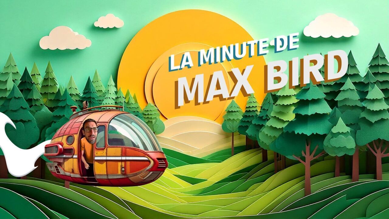 Vignette du programme télé La minute de Max Bird