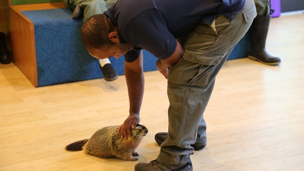 Vignette du programme télé Le zoo du Bronx