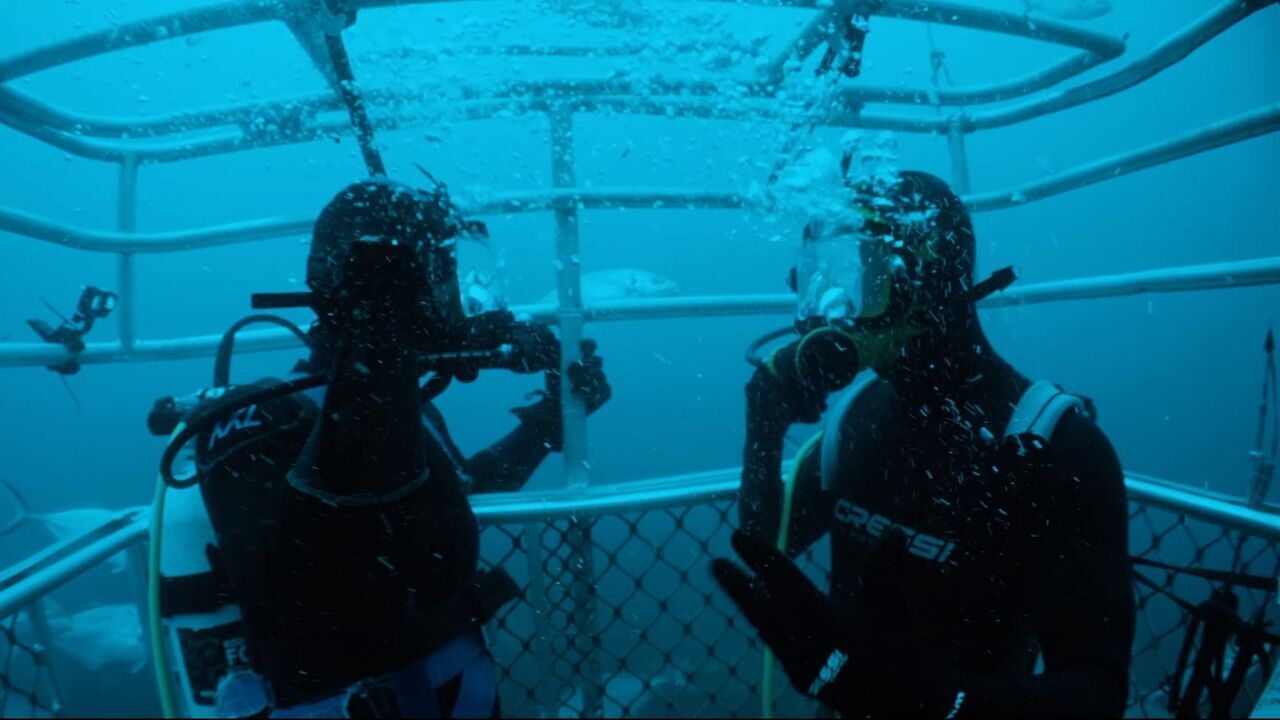 Vignette du programme télé Thalassa, aventures extrêmes