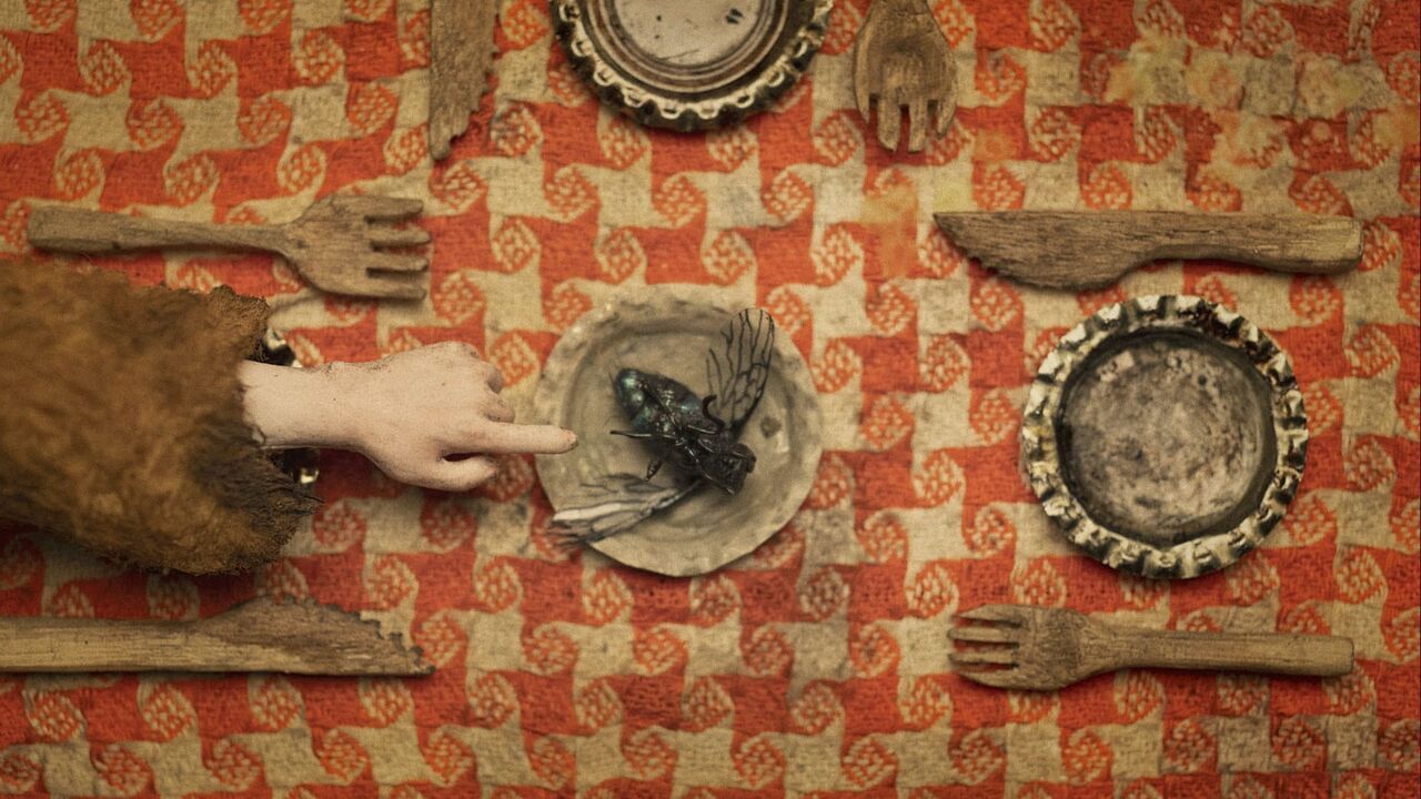 Vignette du programme télé Wander to Wonder