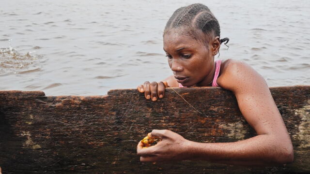 Vignette du programme télé Plongée au coeur du delta du Congo