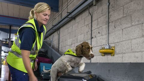 Vignette du programme télé Douanes sous haute surveillance