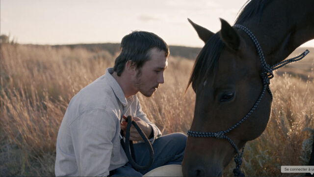 Vignette du programme télé The Rider