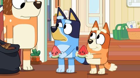 Vignette du programme télé Bluey