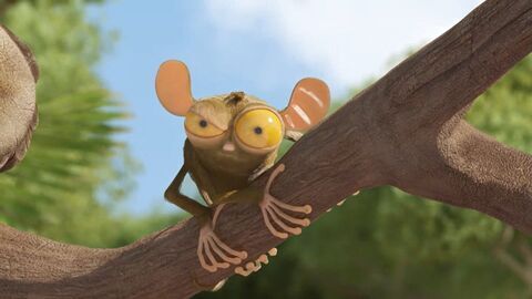 Vignette du programme télé Les as de la jungle : en direct