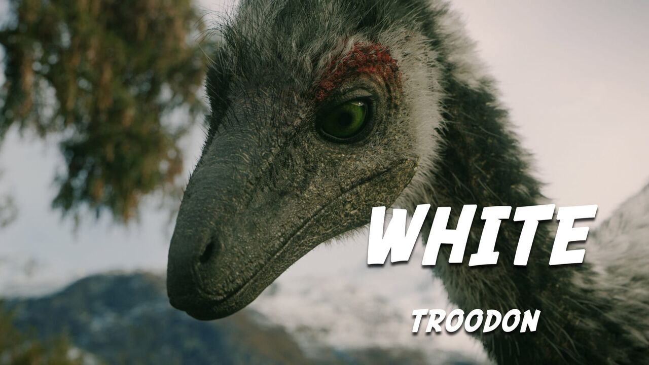 Vignette du programme télé Au temps des dinosaures
